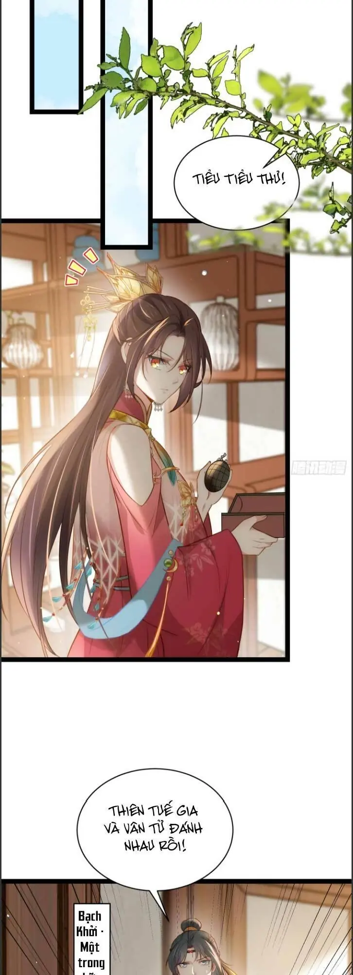 Hoạn Phi Thiên Hạ Chapter 264 - Trang 12