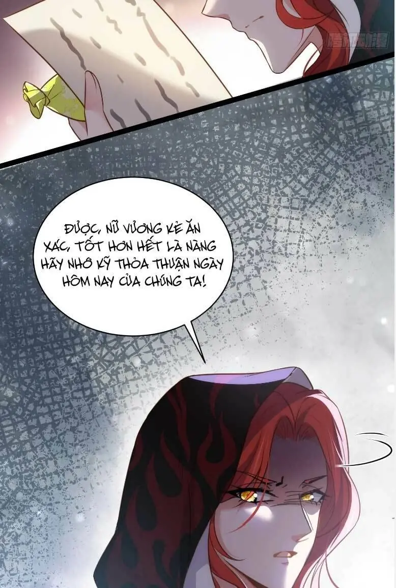 Hoạn Phi Thiên Hạ Chapter 266 - Trang 29