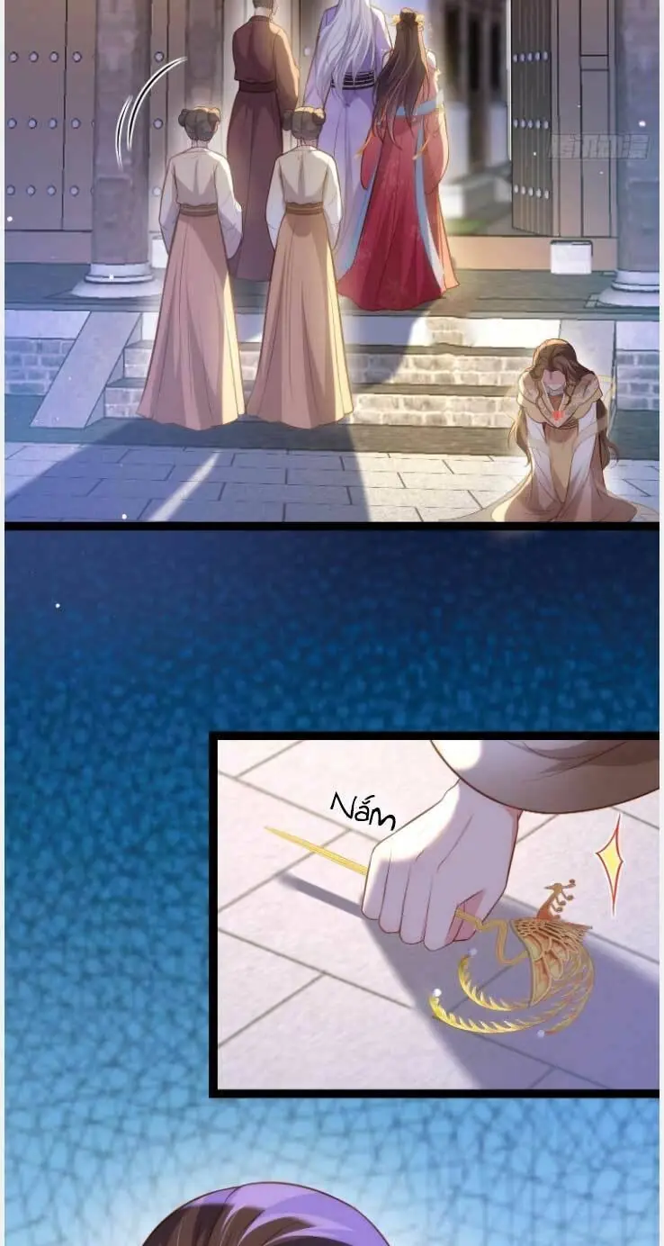 Hoạn Phi Thiên Hạ Chapter 268 - Trang 16