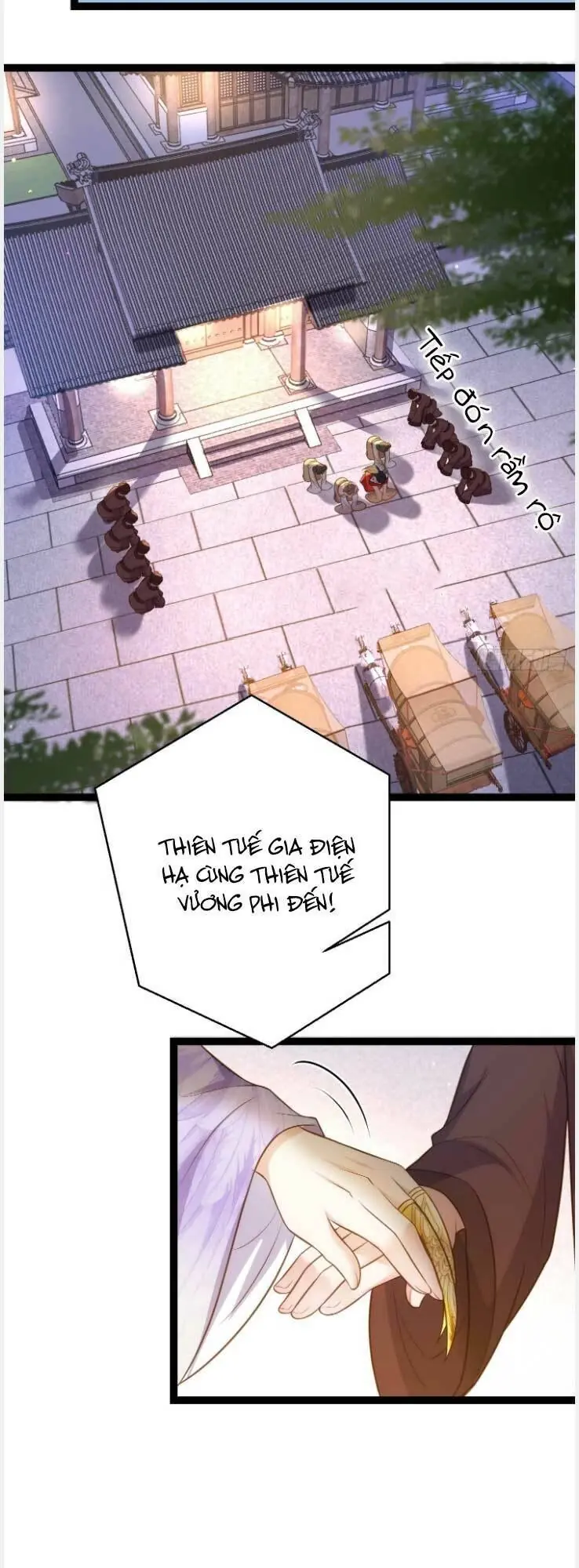 Hoạn Phi Thiên Hạ Chapter 268 - Trang 9
