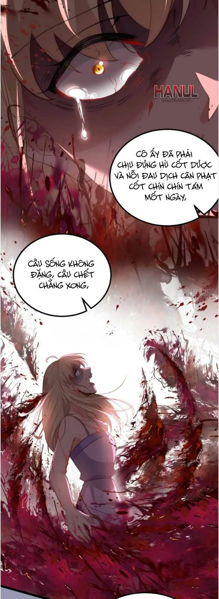 Hoạn Phi Thiên Hạ Chapter 269 - Trang 18