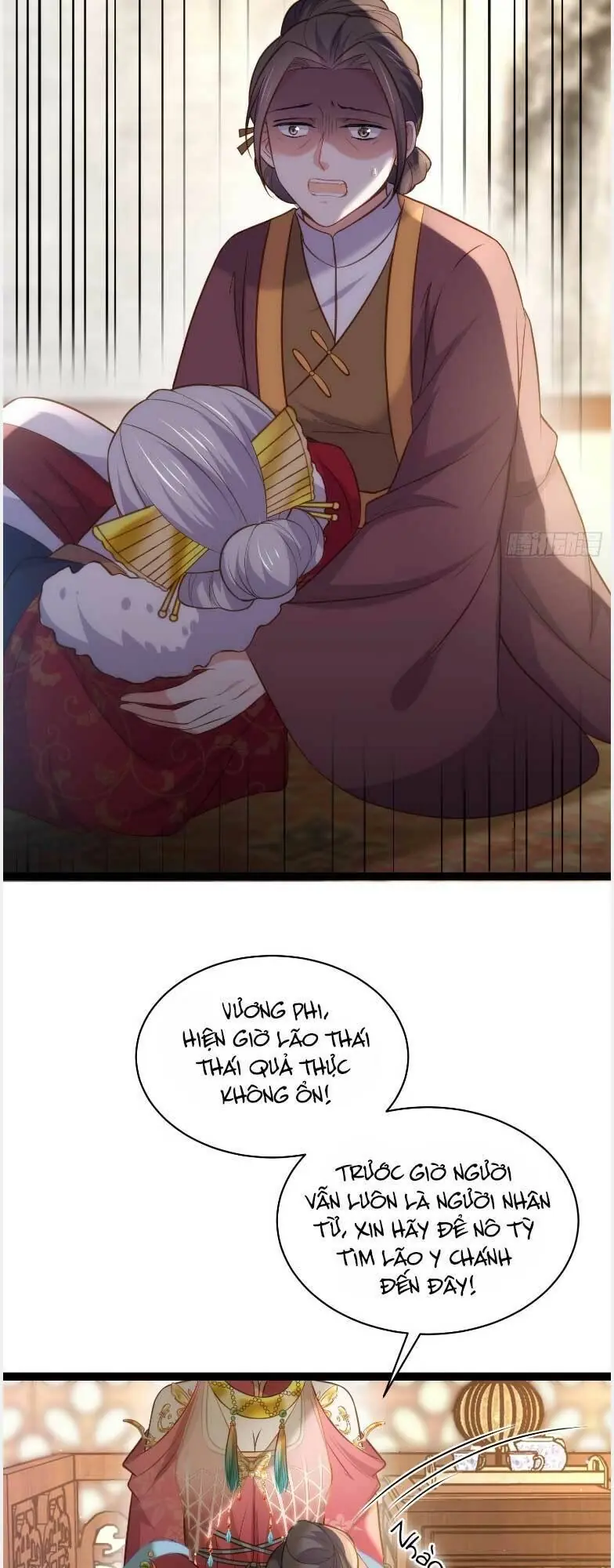Hoạn Phi Thiên Hạ Chapter 272 - Trang 13