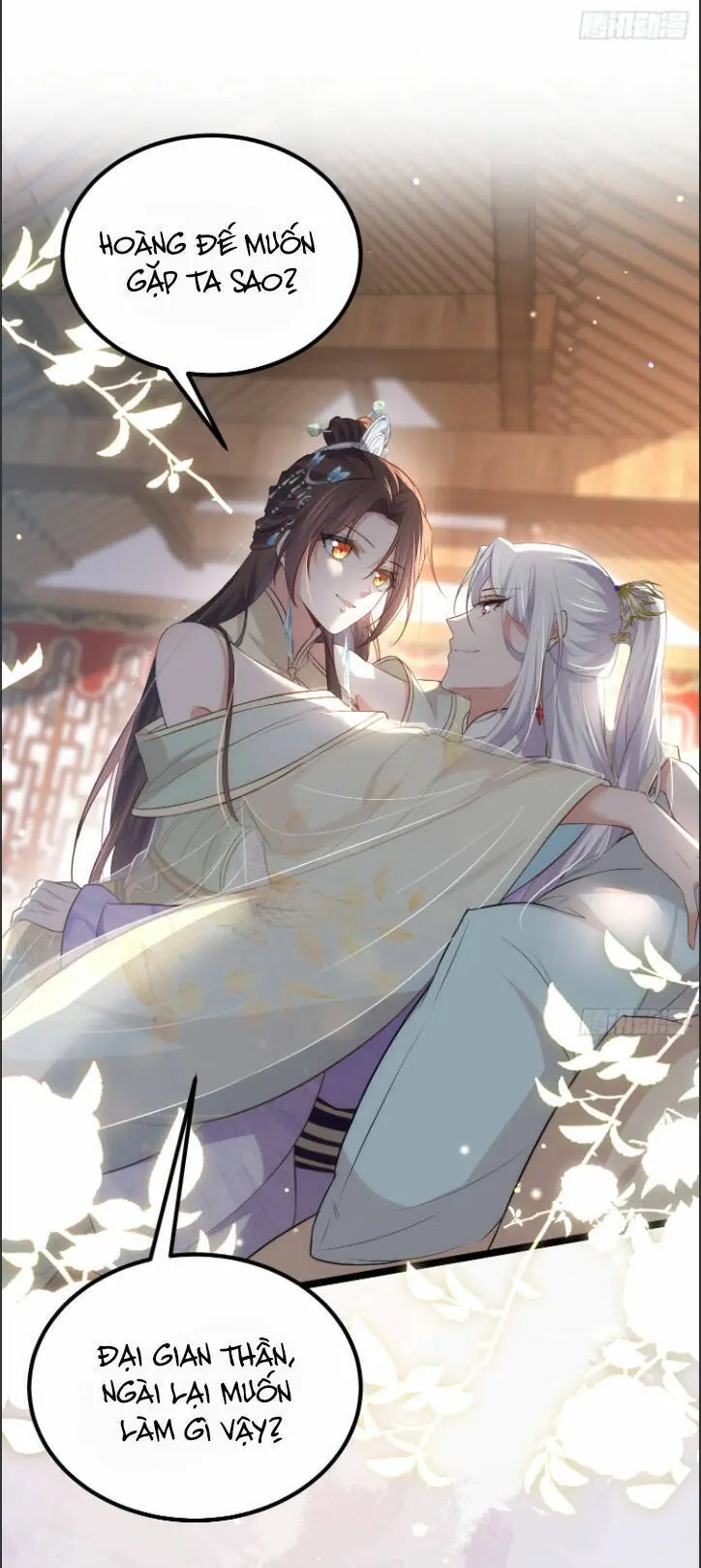 Hoạn Phi Thiên Hạ Chapter 285 - Trang 33