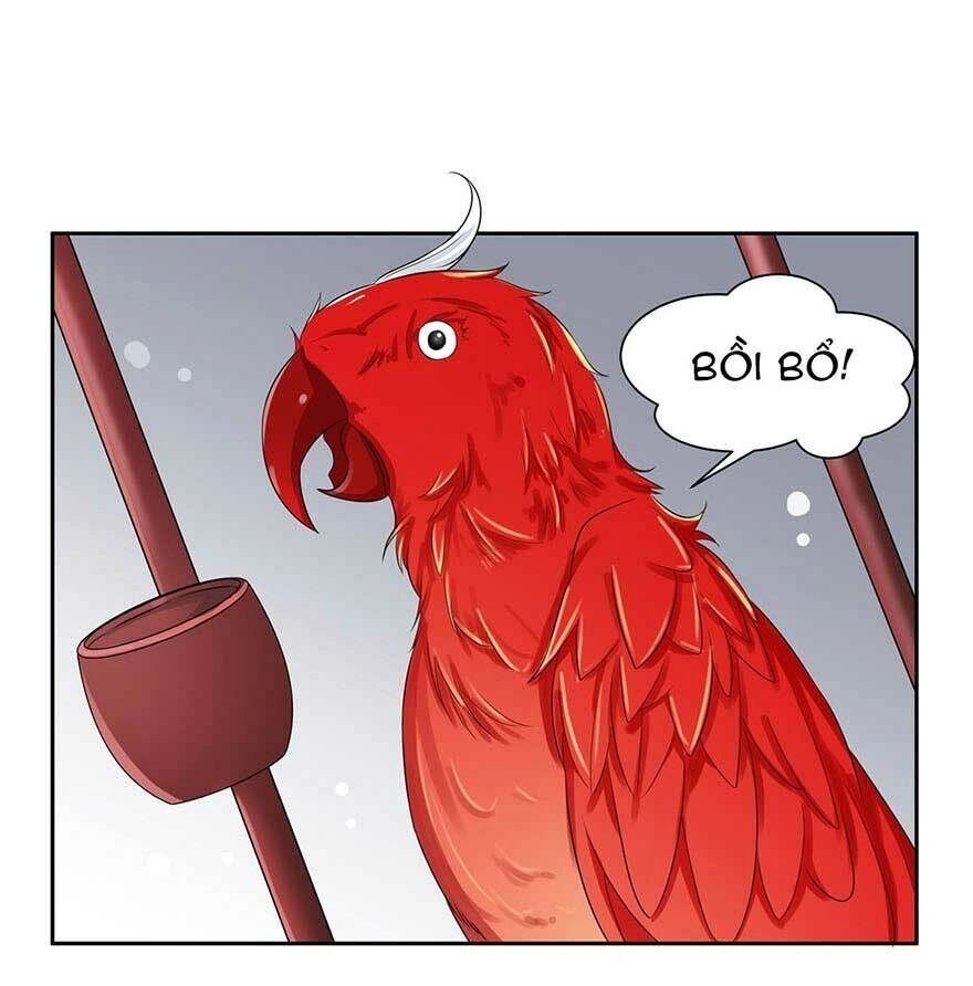 Hoạn Phi Thiên Hạ Chapter 29 - Trang 26