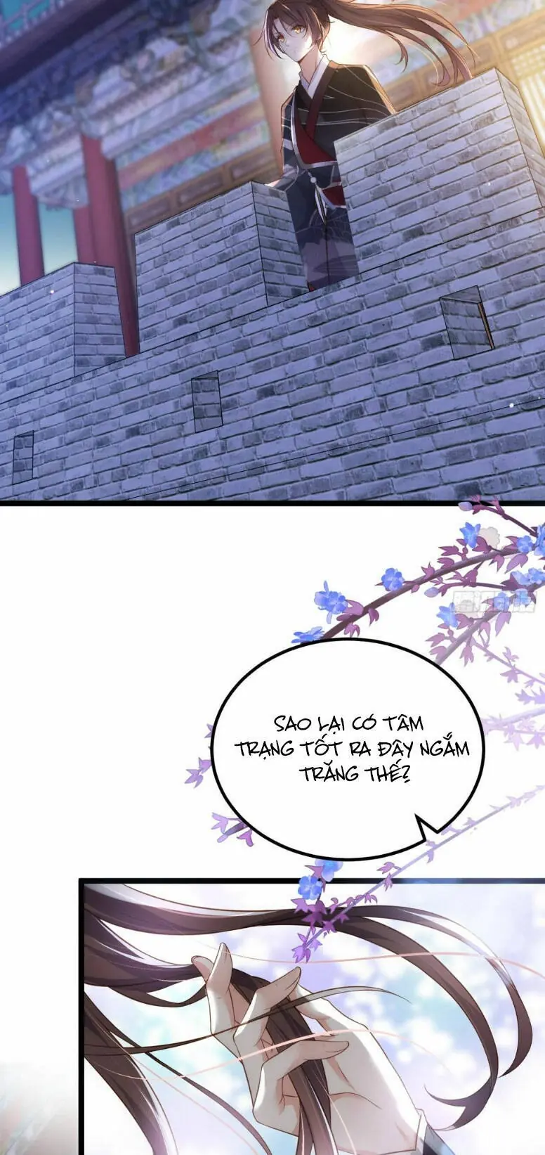 Hoạn Phi Thiên Hạ Chapter 299 - Trang 5