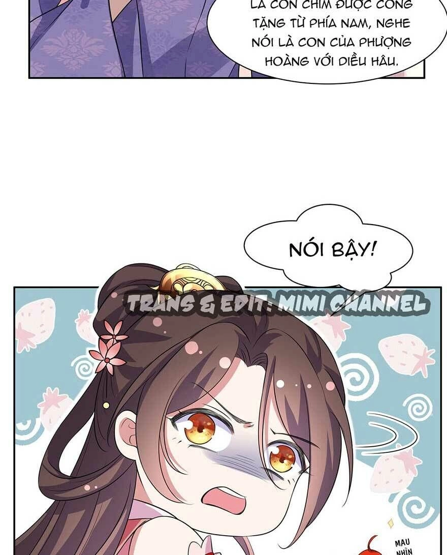 Hoạn Phi Thiên Hạ Chapter 30 - Trang 4