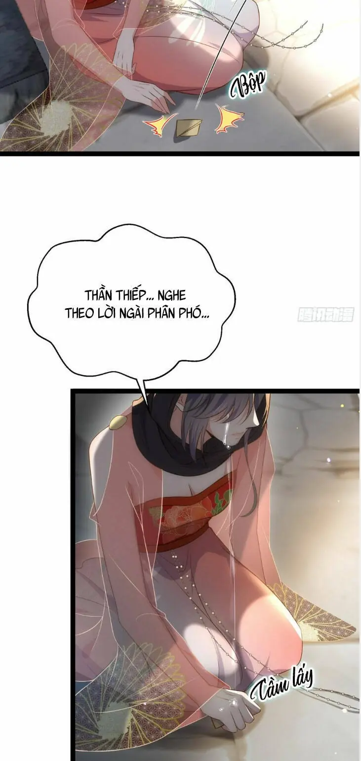Hoạn Phi Thiên Hạ Chapter 303 - Trang 25
