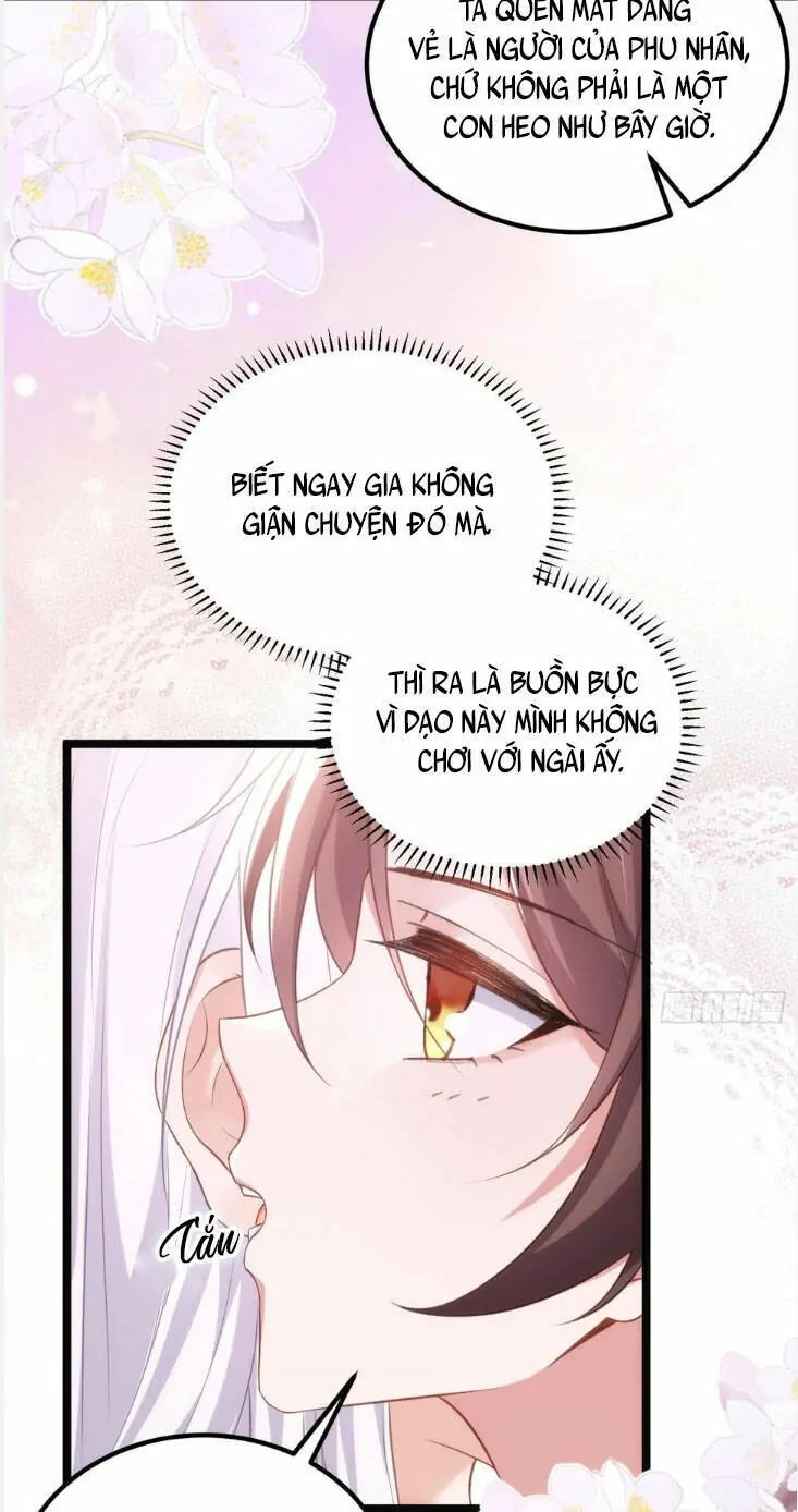 Hoạn Phi Thiên Hạ Chapter 304 - Trang 24