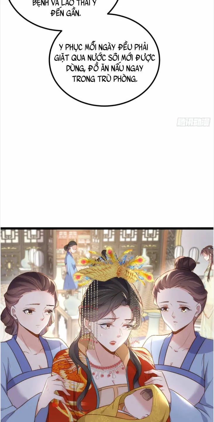 Hoạn Phi Thiên Hạ Chapter 309 - Trang 13