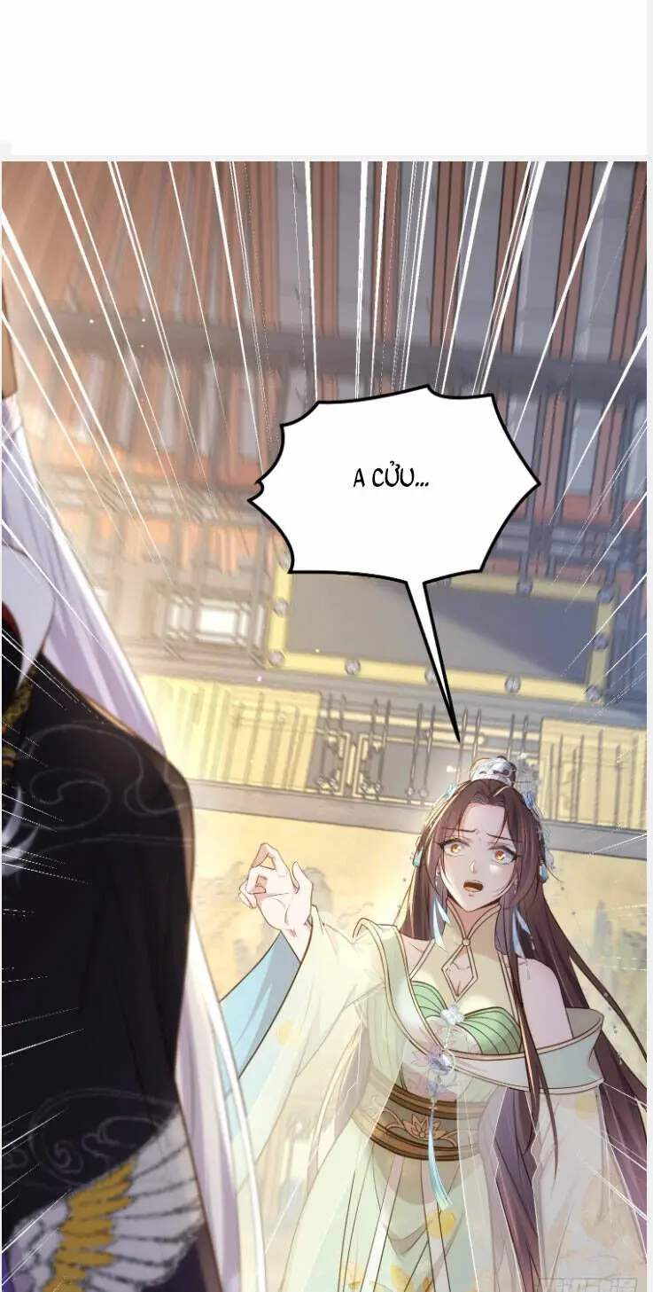 Hoạn Phi Thiên Hạ Chapter 310 - Trang 13