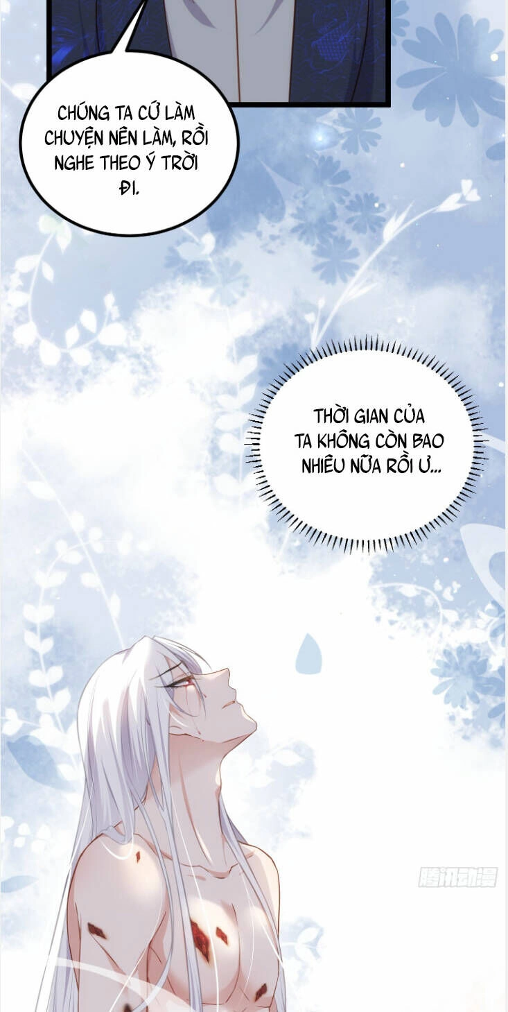 Hoạn Phi Thiên Hạ Chapter 312 - Trang 12