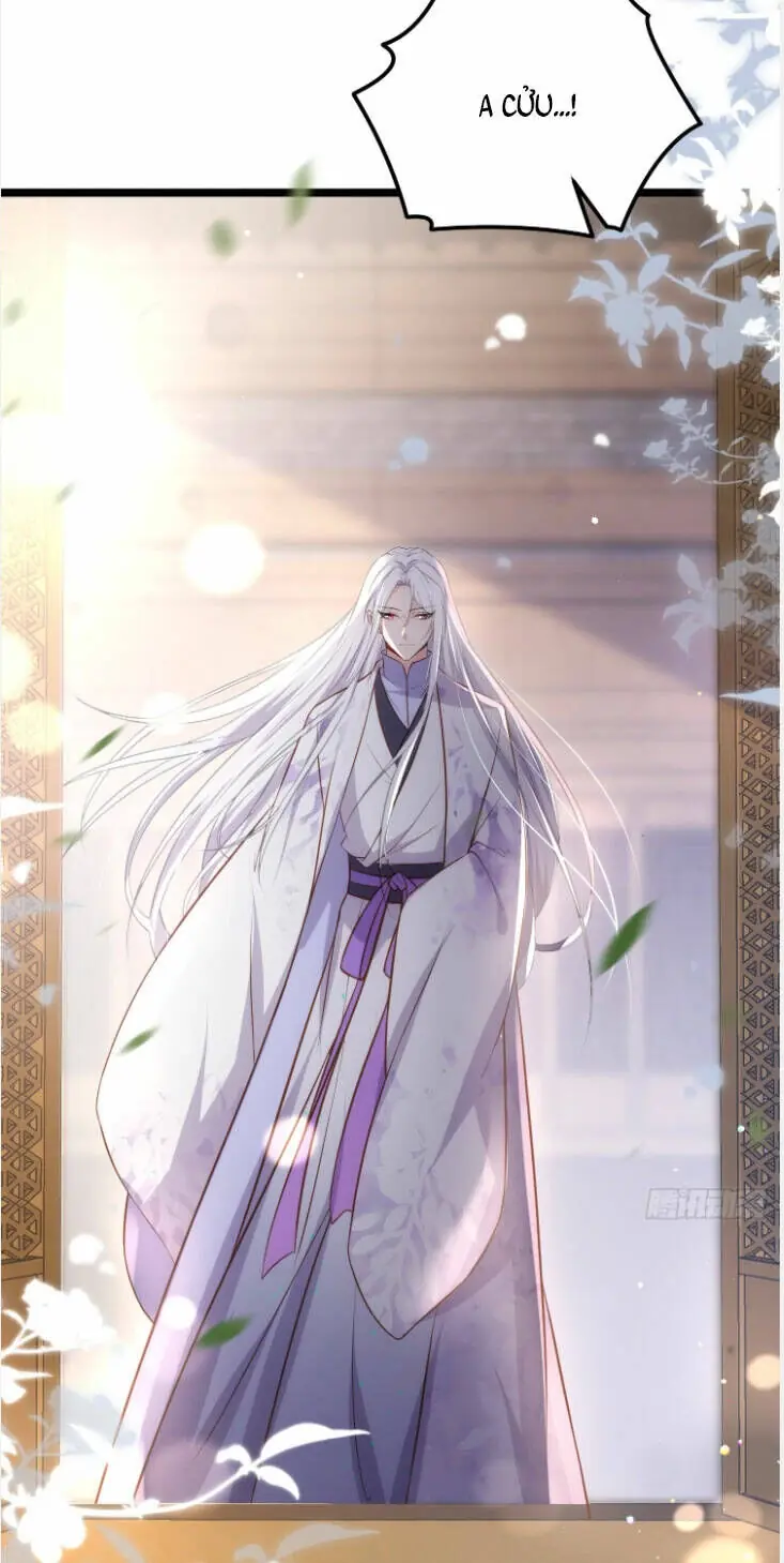 Hoạn Phi Thiên Hạ Chapter 312 - Trang 19