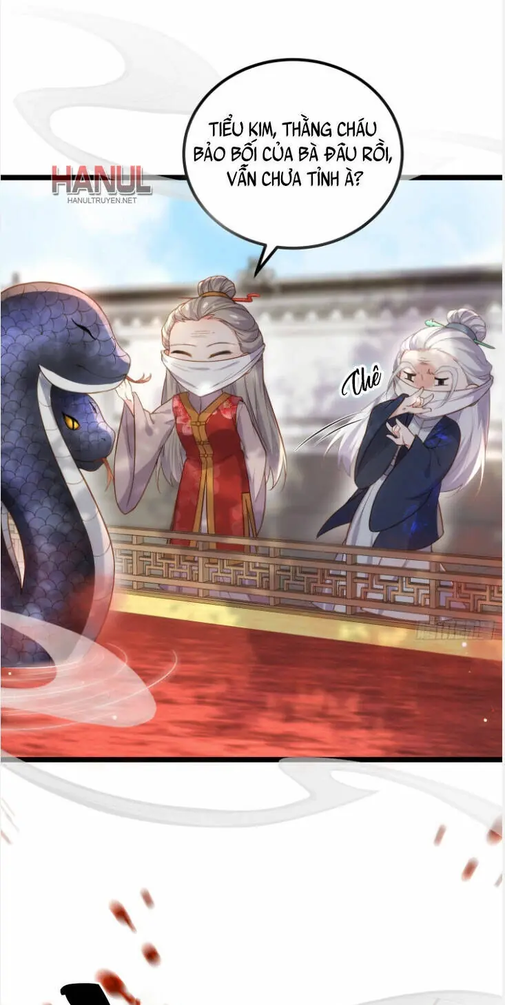 Hoạn Phi Thiên Hạ Chapter 312 - Trang 3