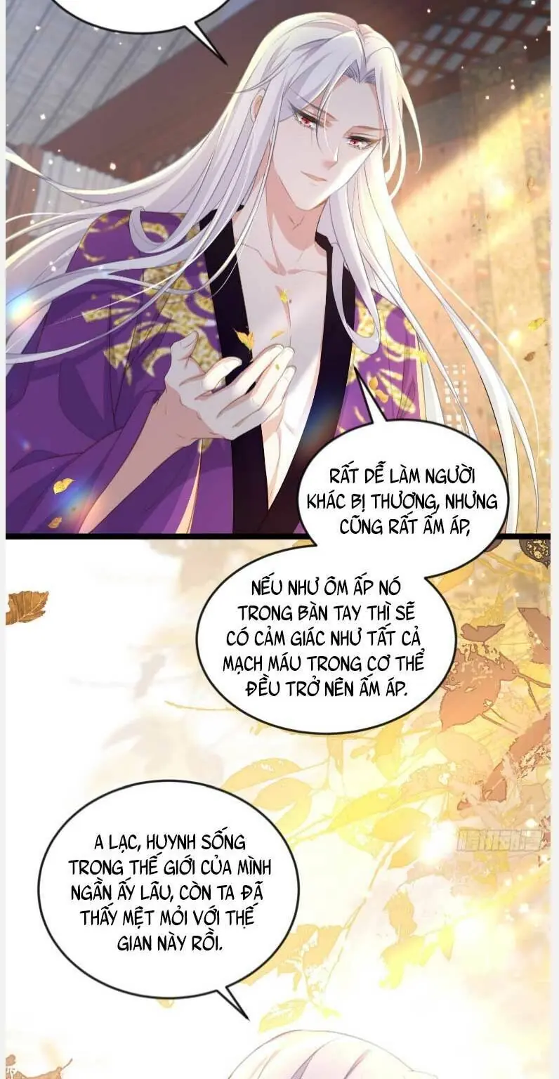 Hoạn Phi Thiên Hạ Chapter 358 - Trang 10