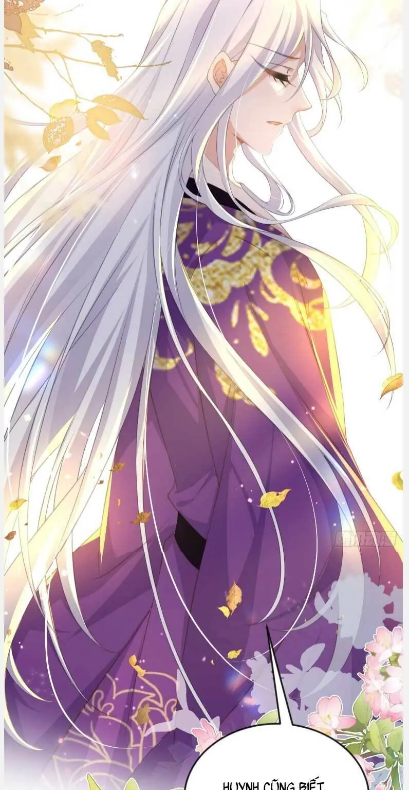 Hoạn Phi Thiên Hạ Chapter 358 - Trang 11