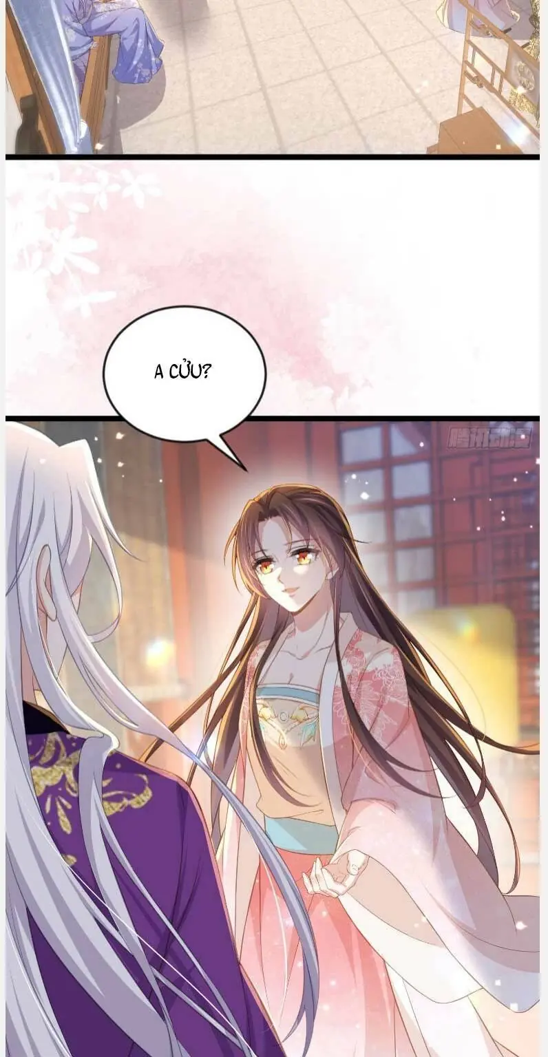 Hoạn Phi Thiên Hạ Chapter 358 - Trang 14