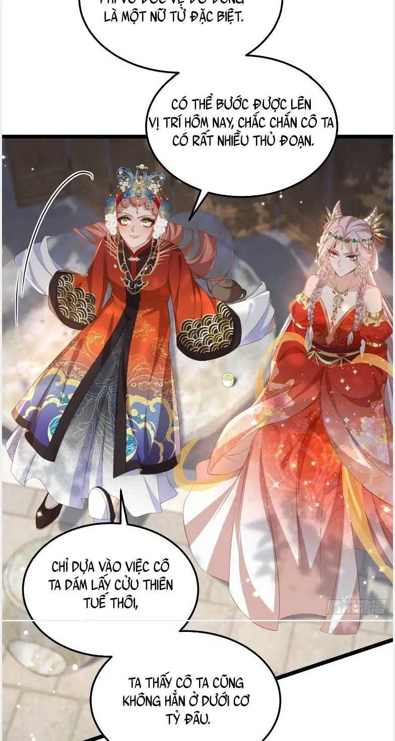 Hoạn Phi Thiên Hạ Chapter 359 - Trang 24