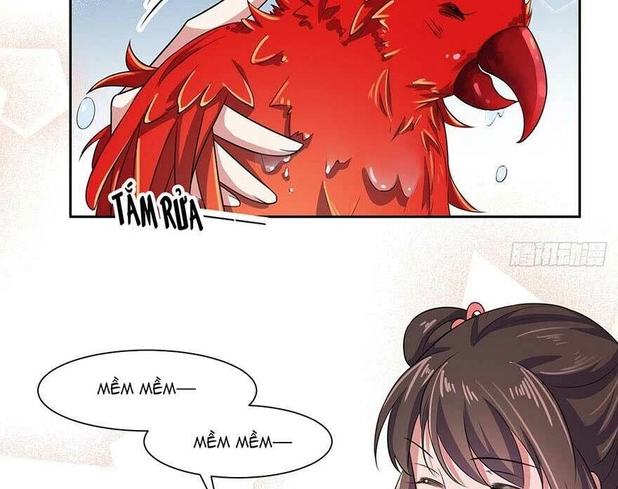 Hoạn Phi Thiên Hạ Chapter 36 - Trang 3