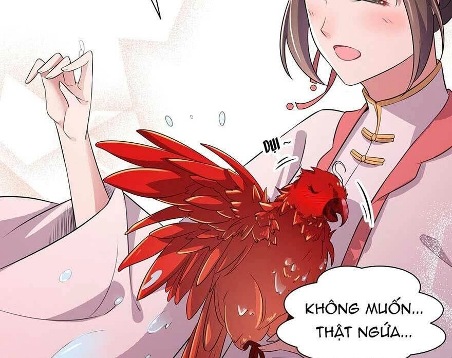 Hoạn Phi Thiên Hạ Chapter 36 - Trang 4