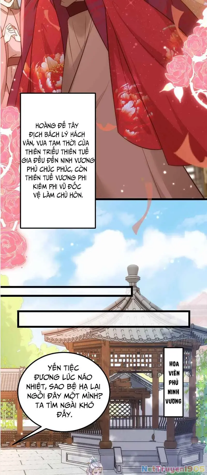 Hoạn Phi Thiên Hạ Chapter 393 - Trang 12