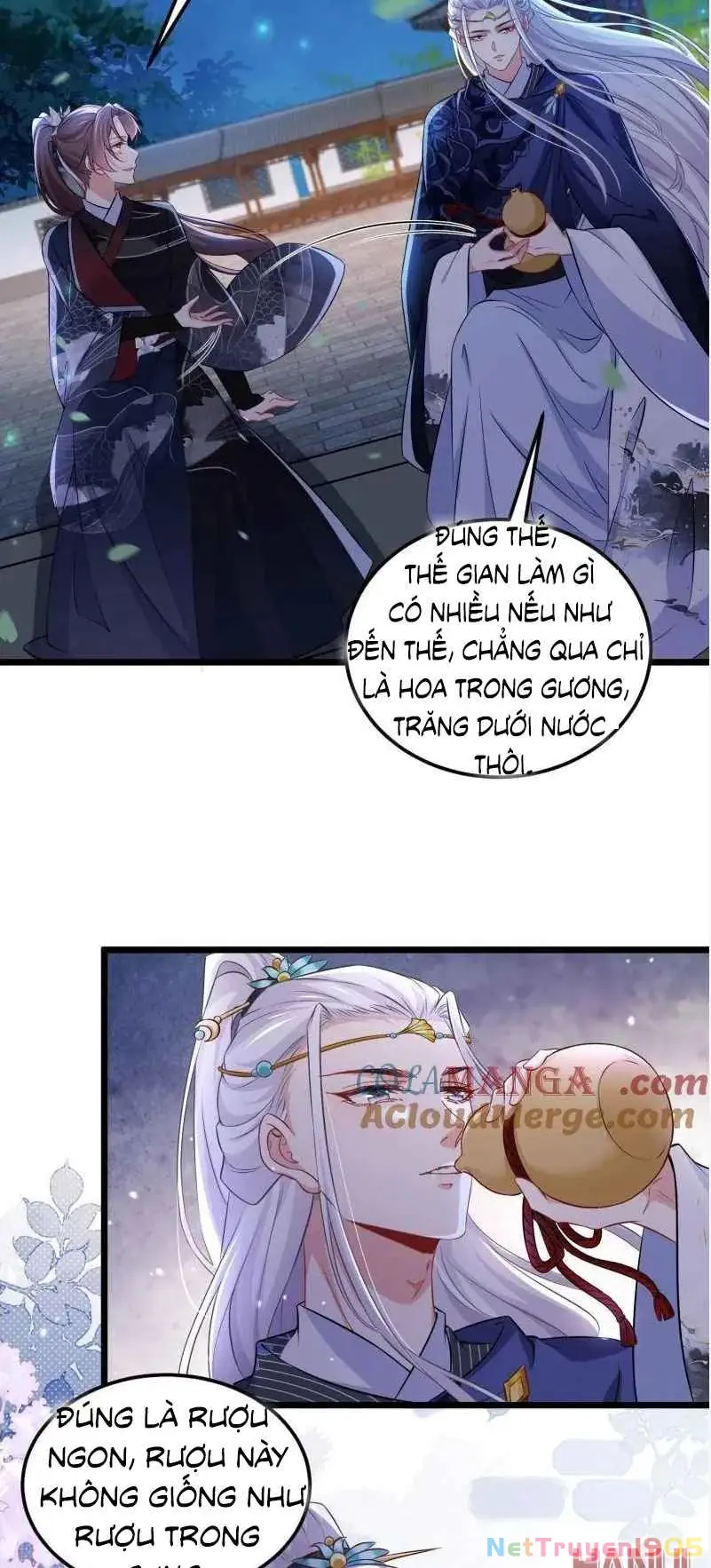Hoạn Phi Thiên Hạ Chapter 395 - Trang 12