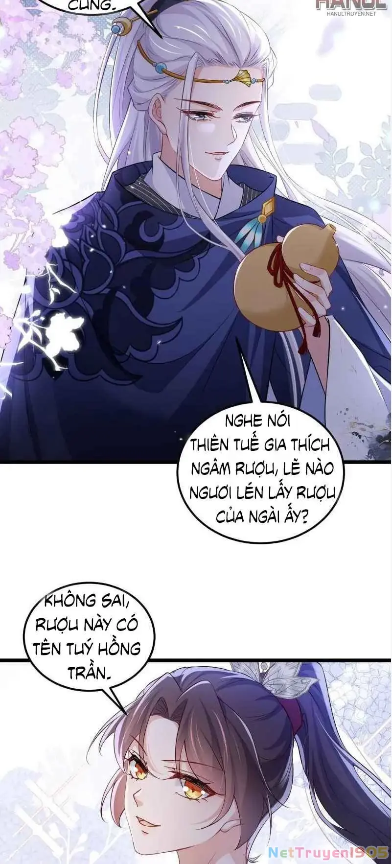 Hoạn Phi Thiên Hạ Chapter 395 - Trang 13