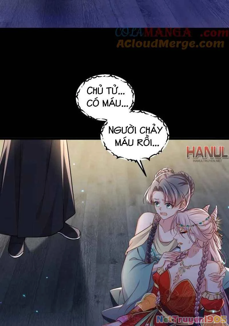Hoạn Phi Thiên Hạ Chapter 397 - Trang 11