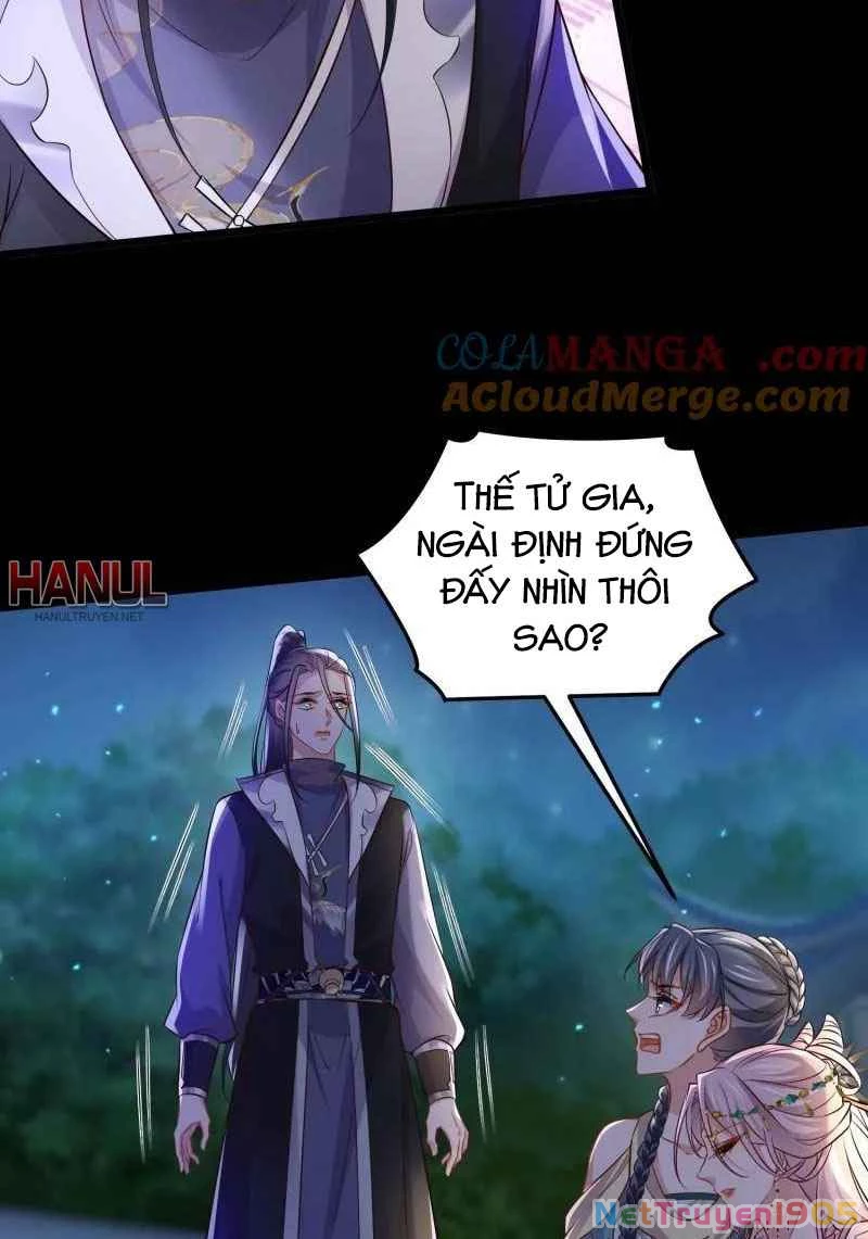 Hoạn Phi Thiên Hạ Chapter 397 - Trang 13