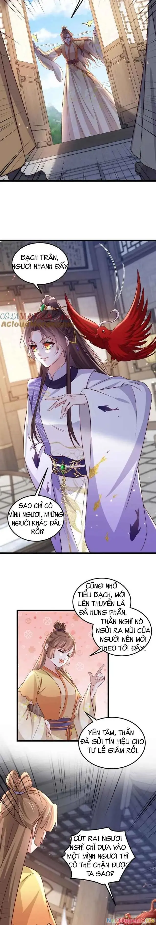 Hoạn Phi Thiên Hạ Chapter 405 - Trang 4