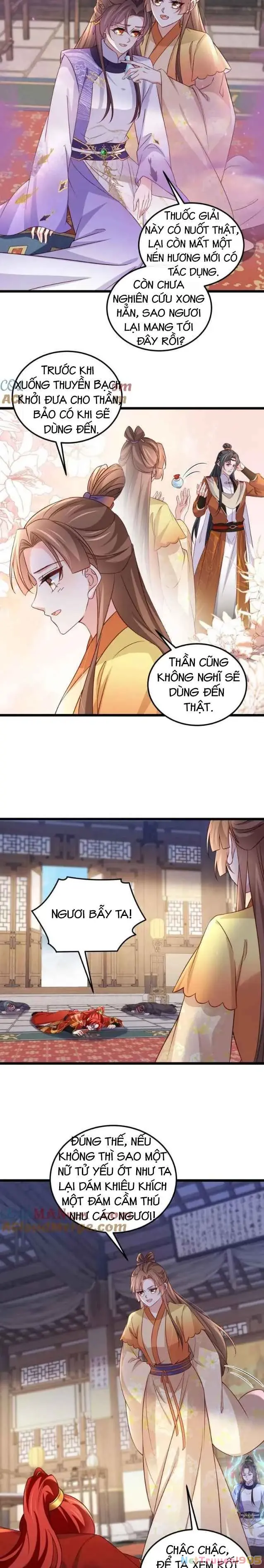 Hoạn Phi Thiên Hạ Chapter 405 - Trang 6