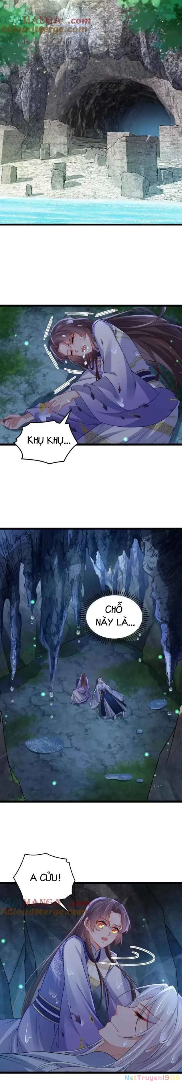 Hoạn Phi Thiên Hạ Chapter 409 - Trang 4