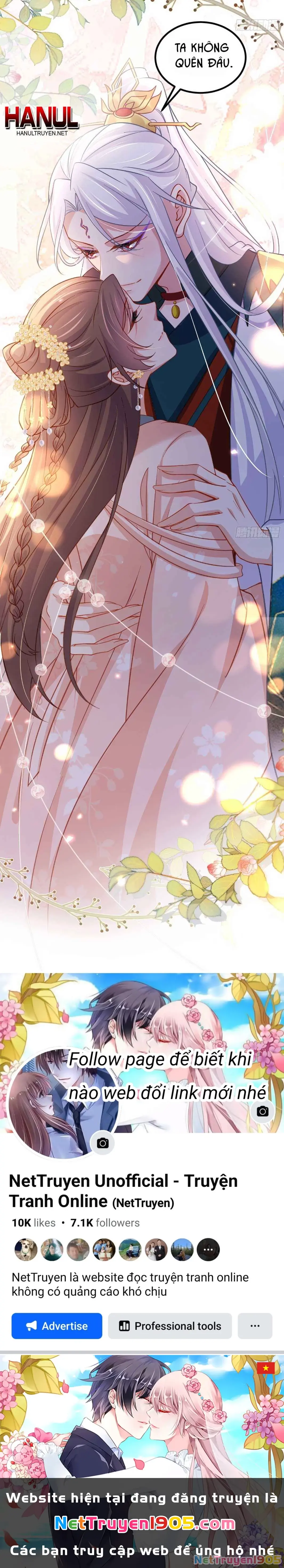 Hoạn Phi Thiên Hạ Chapter 426 - Trang 14