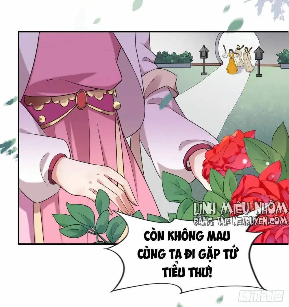 Hoạn Phi Thiên Hạ Chapter 6 - Trang 3