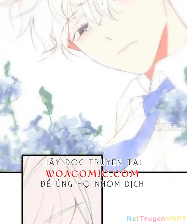Hoàng Tử Bé Chapter 1 - Trang 11