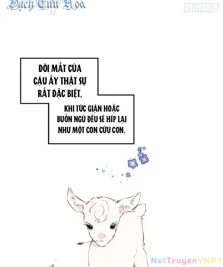Hoàng Tử Bé Chapter 1 - Trang 13
