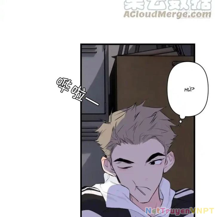 Hoàng Tử Bé Chapter 2 - Trang 21