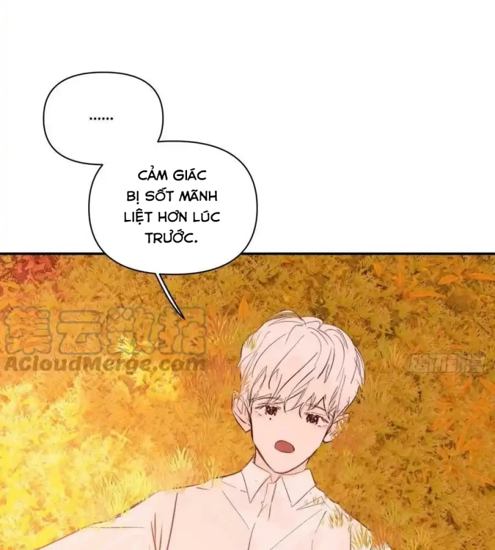Hoàng Tử Bé Chapter 33 - Trang 8