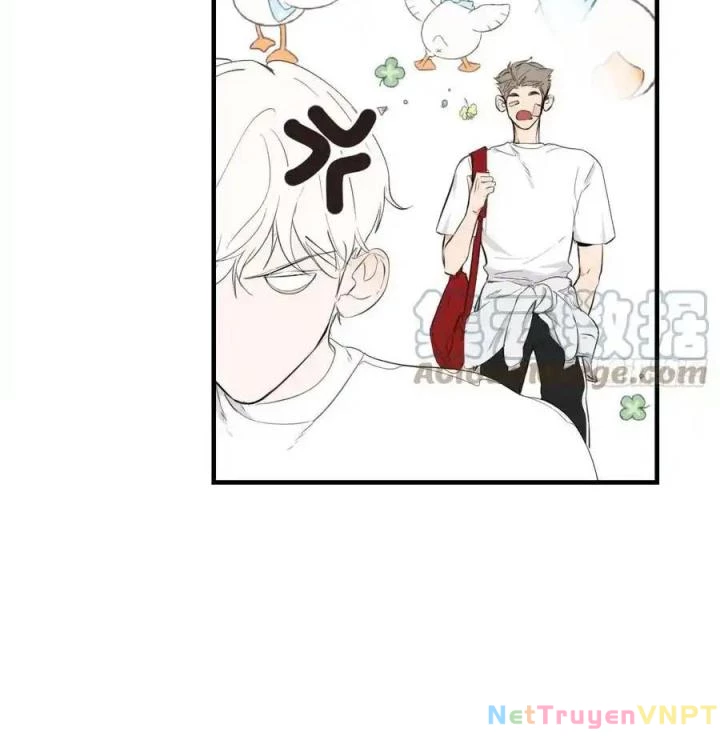 Hoàng Tử Bé Chapter 4 - Trang 9