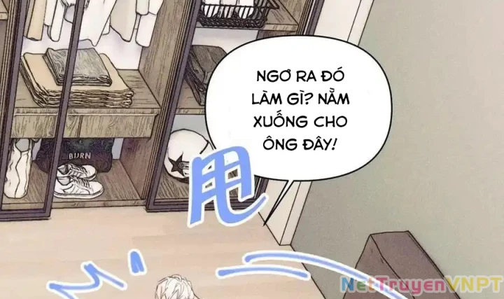 Hoàng Tử Bé Chapter 41 - Trang 42