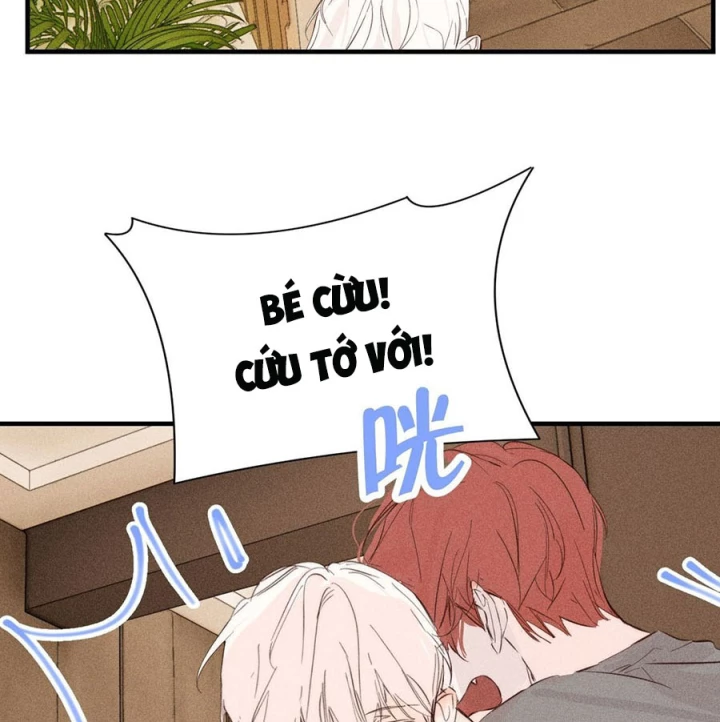 Hoàng Tử Bé Chapter 47 - Trang 37