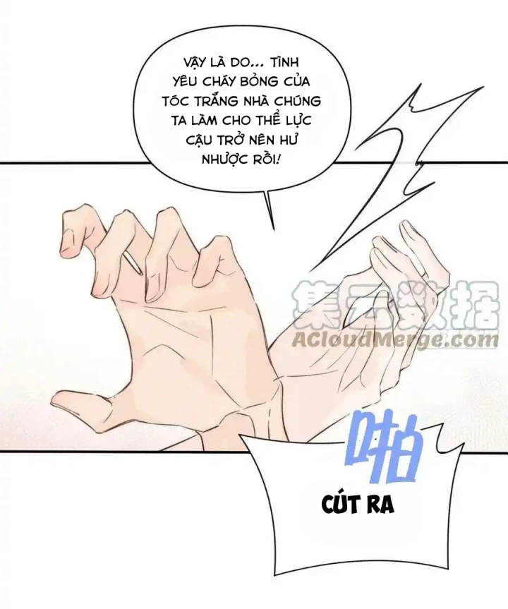 Hoàng Tử Bé Chapter 49 - Trang 17