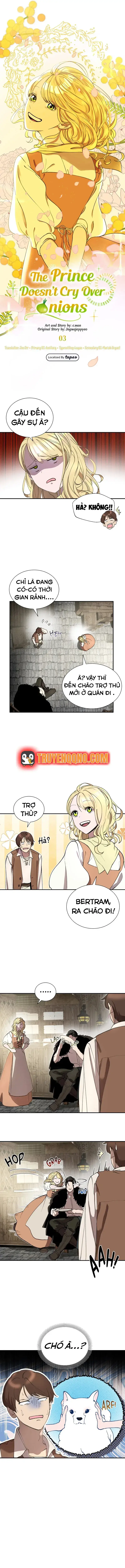 Hoàng Tử Không Khóc Vì Hành Tây Chapter 3 - Trang 8