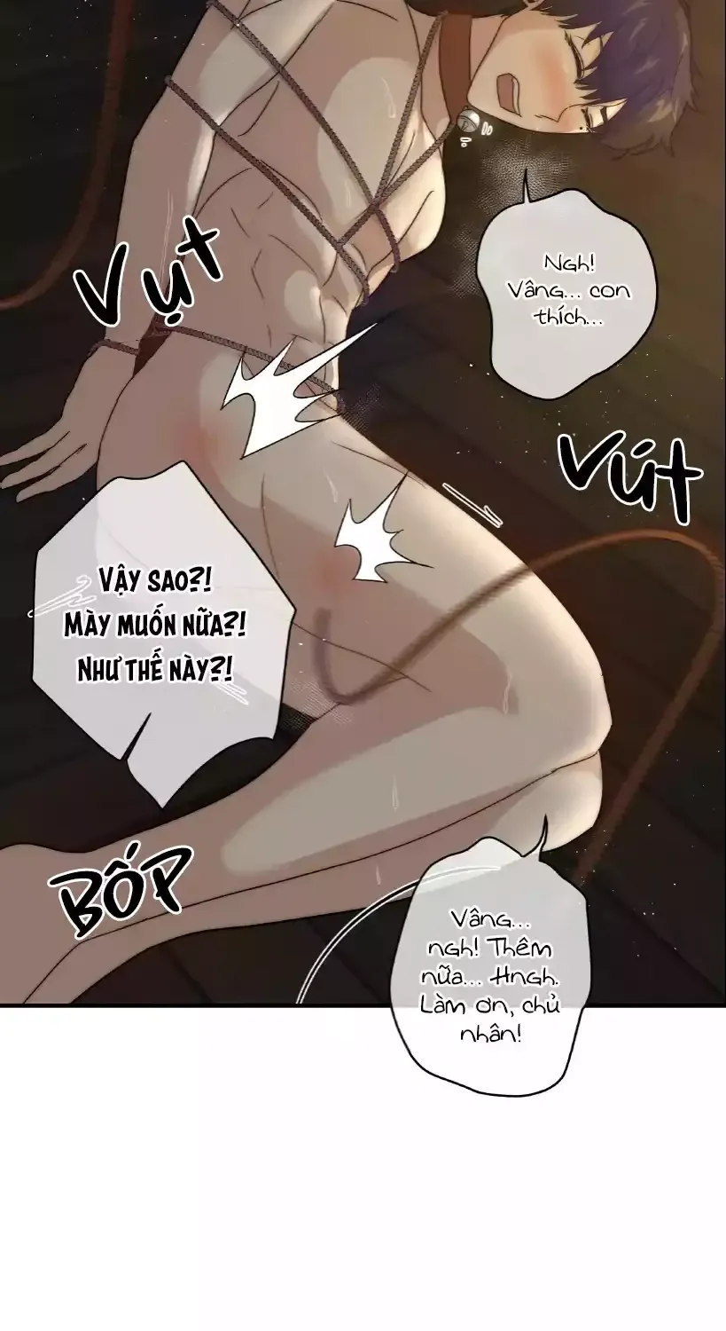 Hoàng Tử Lọ Lem Chapter 5 - Trang 49