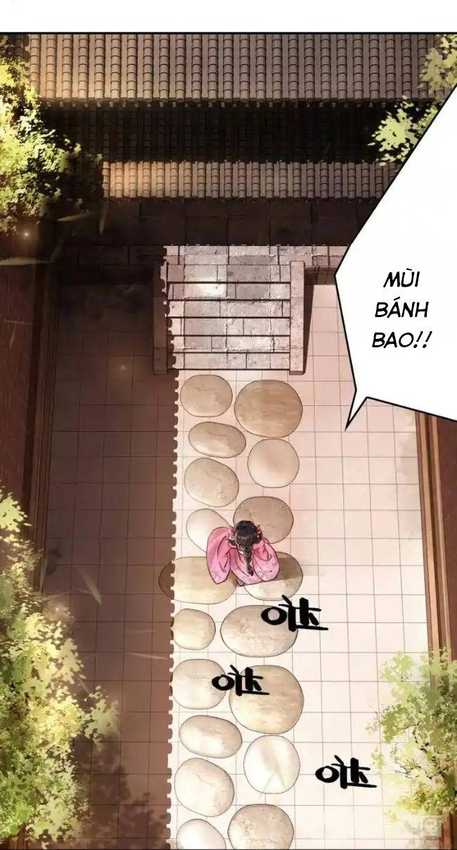 Hoàng Tỷ Của Ta Không Phải Dạng Dễ Bắt Nạt Chapter 1 - Trang 11