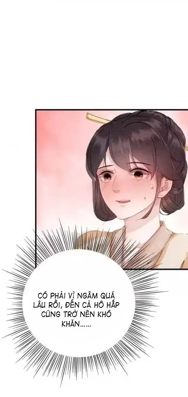 Hoàng Tỷ Của Ta Không Phải Dạng Dễ Bắt Nạt Chapter 63 - Trang 11