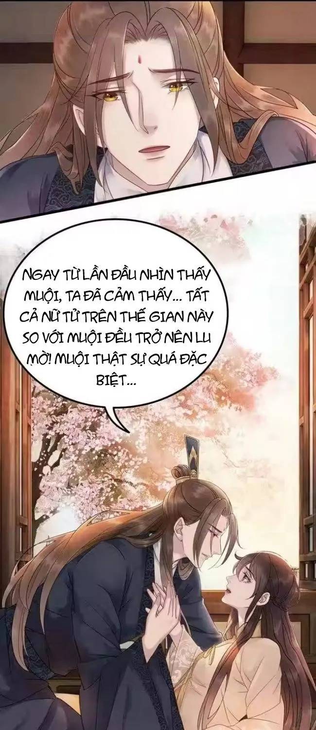 Hoàng Tỷ Của Ta Không Phải Dạng Dễ Bắt Nạt Chapter 67 - Trang 9