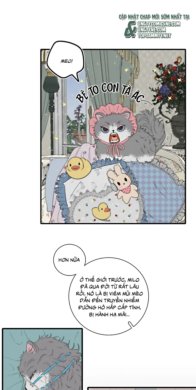 Hội Chứng Mẫn Cảm Cao Chapter 6 - Trang 12
