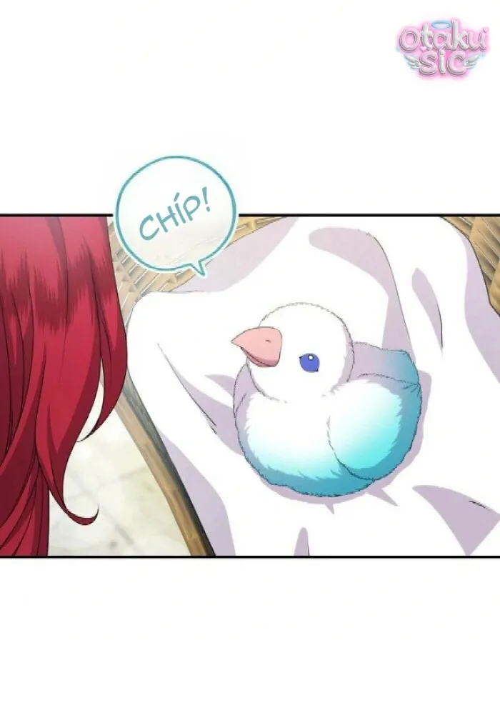 Hồi Phục Quá Mạnh - Nhà Vua Đã Ám Ảnh Tôi Chapter 30 - Trang 22