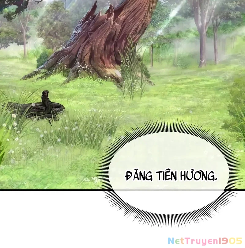 Hồi Quy Tu Tiên Ký Chapter 8 - Trang 5