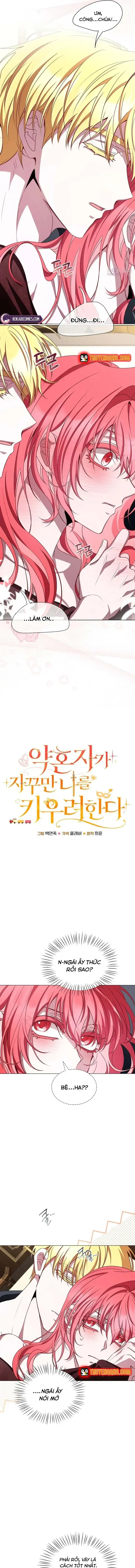 Hôn Phu Luôn Muốn Nuôi Nấng Tôi Chapter 37 - Trang 16